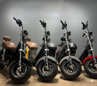 Holanda Electrics Scooter